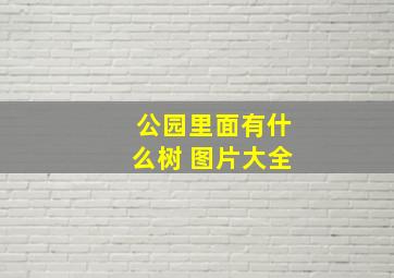 公园里面有什么树 图片大全